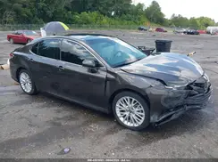 4T1BZ1HK2KU509301 2019 TOYOTA CAMRY