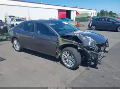 4T1BZ1HK4KU025954 2019 TOYOTA CAMRY