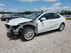 4T1BZ1HK5KU507381 2019 TOYOTA CAMRY