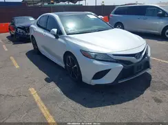 4T1BZ1HK7KU509553 2019 TOYOTA CAMRY