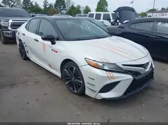 4T1BZ1HK8KU024354 2019 TOYOTA CAMRY
