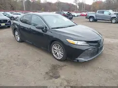 4T1BZ1HK8KU029702 2019 TOYOTA CAMRY