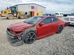 4T1BZ1HK9KU023326 2019 TOYOTA CAMRY