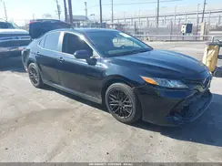 4T1C11AK0LU978197 2020 TOYOTA CAMRY