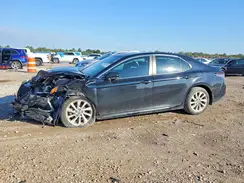 4T1C11AK0PU772612 2023 TOYOTA CAMRY