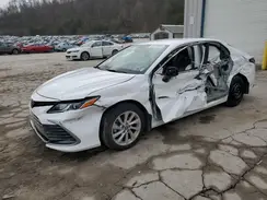 4T1C11AK1PU184816 2023 TOYOTA CAMRY