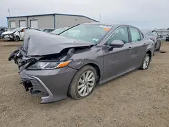 4T1C11AK1PU733804 2023 TOYOTA CAMRY