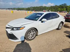 4T1C11AK1PU743913 2023 TOYOTA CAMRY