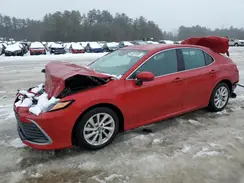 4T1C11AK1RU220507 2024 TOYOTA CAMRY