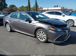 4T1C11AK1RU259937 2024 TOYOTA CAMRY