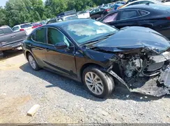 4T1C11AK2RU850830 2024 TOYOTA CAMRY
