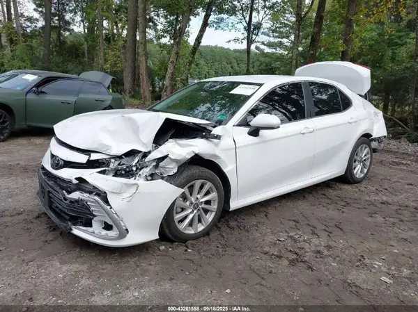 4T1C11AK2RU916373 2024 TOYOTA CAMRY - Image 2
