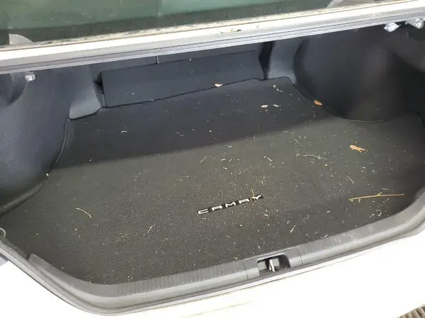 4T1C11AK3LU887795 2020 TOYOTA CAMRY - Image 1