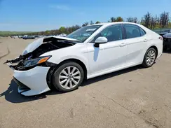 4T1C11AK4LU883335 2020 TOYOTA CAMRY