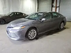 4T1C11AK4RU916813 2024 TOYOTA CAMRY
