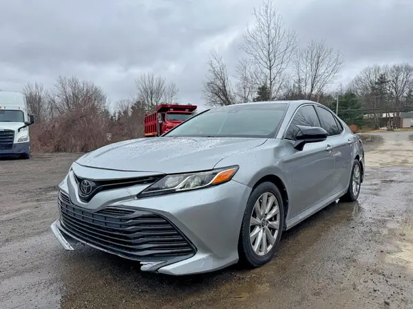 4T1C11AK5LU365279 2020 TOYOTA CAMRY - Image 2