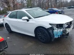 4T1C11AK7LU343638 2020 TOYOTA CAMRY
