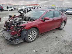 4T1C11AK7LU360326 2020 TOYOTA CAMRY