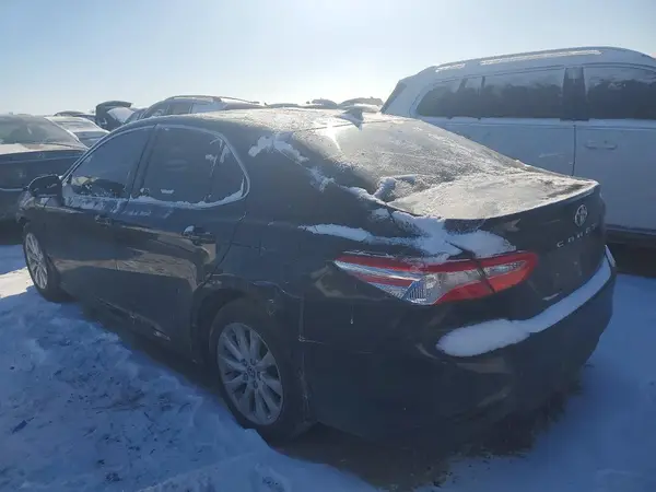 4T1C11AK7LU387378 2020 TOYOTA CAMRY - Image 2
