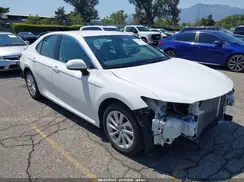 4T1C11AK7RU236890 2024 TOYOTA CAMRY