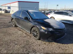 4T1C11AK8LU346063 2020 TOYOTA CAMRY