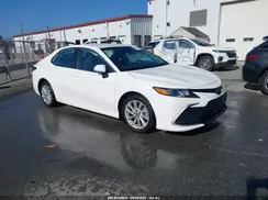 4T1C11AK8PU825699 2023 TOYOTA CAMRY