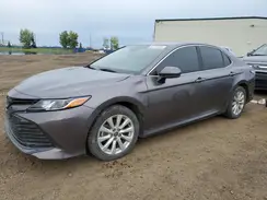 4T1C11AK9LU386619 2020 TOYOTA CAMRY