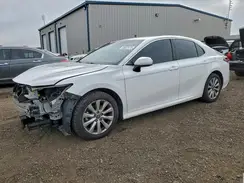 4T1C11AK9LU986878 2020 TOYOTA CAMRY
