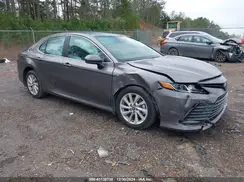 4T1C11AK9RU234302 2024 TOYOTA CAMRY