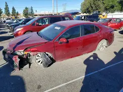 4T1C11AKXLU362068 2020 TOYOTA CAMRY