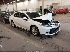 4T1C11AKXLU916886 2020 TOYOTA CAMRY