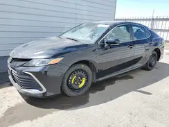 4T1C11AKXPU084987 2023 TOYOTA CAMRY