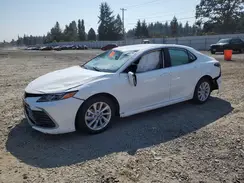 4T1C11BK0RU115018 2024 TOYOTA CAMRY