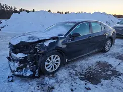 4T1C11BK1MU025305 2021 TOYOTA CAMRY
