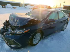4T1C11BK1PU085993 2023 TOYOTA CAMRY