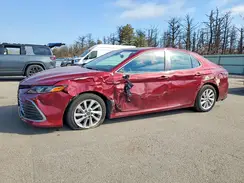 4T1C11BK4NU061135 2022 TOYOTA CAMRY