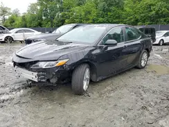 4T1C11BK6MU031519 2021 TOYOTA CAMRY