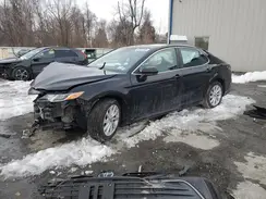 4T1C11BK9NU060420 2022 TOYOTA CAMRY