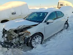 4T1C11BKXPU105366 2023 TOYOTA CAMRY