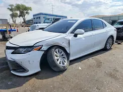 4T1C11BKXRU131386 2024 TOYOTA CAMRY