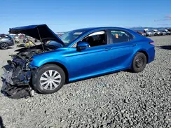 4T1C31AK0LU009767 2020 TOYOTA CAMRY