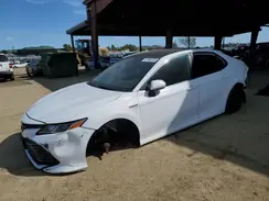 4T1C31AK0LU013625 2020 TOYOTA CAMRY