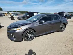 4T1C31AK0LU013690 2020 TOYOTA CAMRY