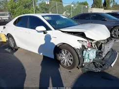 4T1C31AK0LU519083 2020 TOYOTA CAMRY