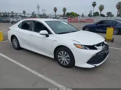4T1C31AK0LU519388 2020 TOYOTA CAMRY