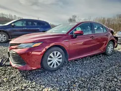 4T1C31AK0LU519732 2020 TOYOTA CAMRY