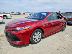 4T1C31AK0LU521495 2020 TOYOTA CAMRY