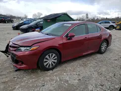 4T1C31AK0LU526261 2020 TOYOTA CAMRY