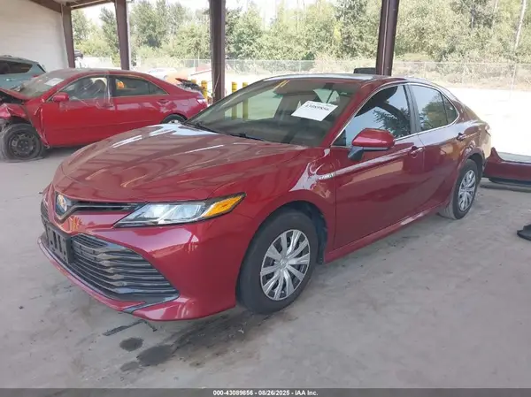 4T1C31AK0LU527782 2020 TOYOTA CAMRY - Image 2