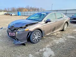 4T1C31AK0LU535994 2020 TOYOTA CAMRY